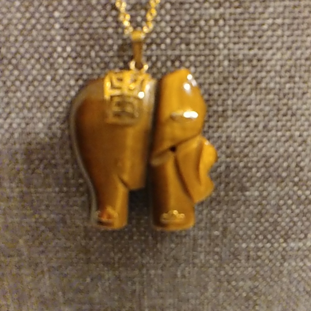 Carved tigereye pendant with silver gold chain